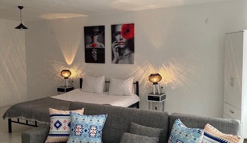 Standard Apartment