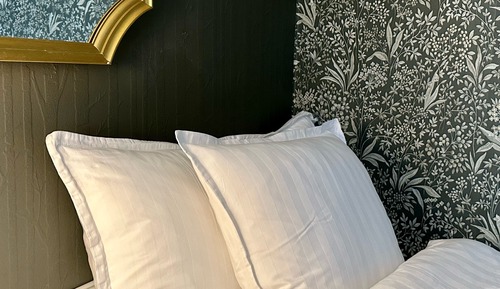 Premium Room (No Pets Allowed)