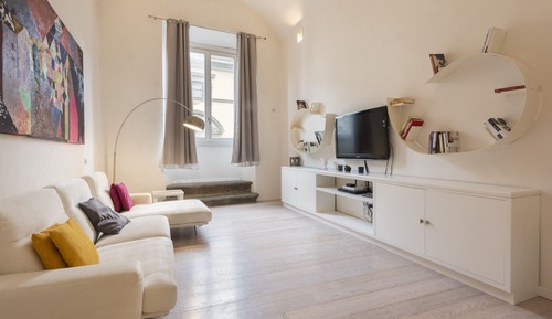 Luxury Apartment