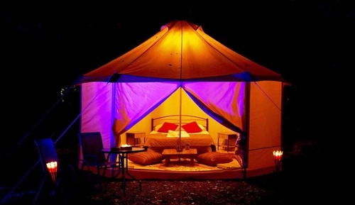 Basic Tent