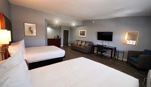 Newly Remodeled 2 Queen Bed + Sofa Bed