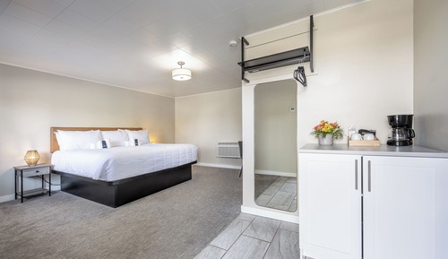 Standard Double Room, 1 King Bed, Refrigerator