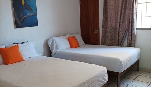 Basic Double Room
