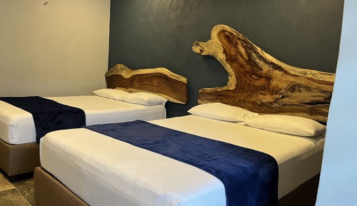 Basic Double Room