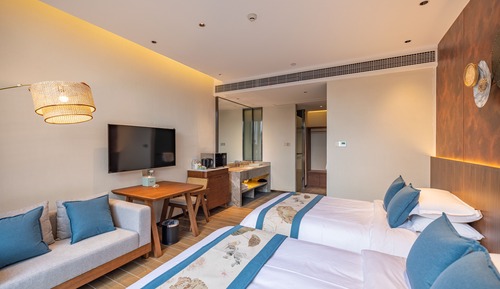 Deluxe Twin Room