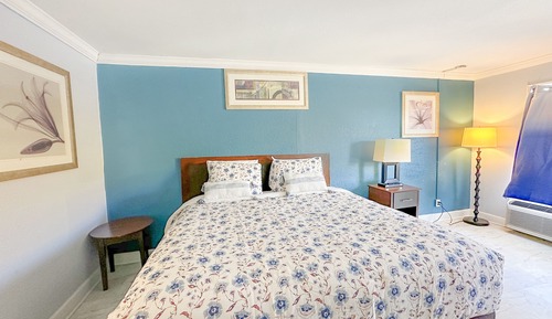 Room, 1 King Bed, Accessible, Non Smoking