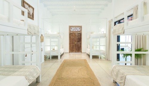 Superior Shared Dormitory