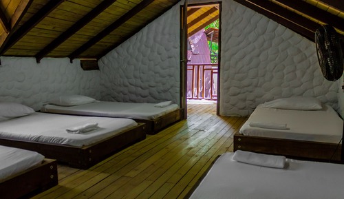 Basic Cabin, Multiple Beds
