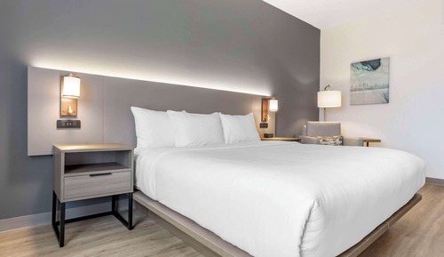 Room, 1 King Bed, Accessible, Non Smoking