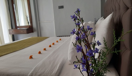 Deluxe Double Room, 1 King Bed, Non Smoking, Mountain View