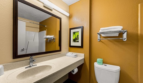 Suite, 1 King Bed with Sofa bed, Non Smoking (Efficiency)
