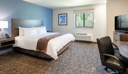 Room, 1 Queen Bed, Accessible (Mobility, Hearing, Roll In Shower)