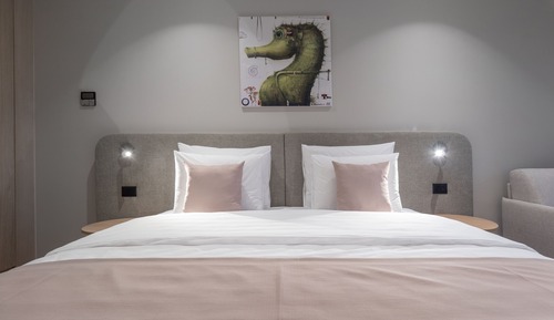 Superior Double or Twin Room