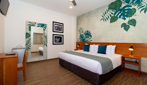 Standard Double Room