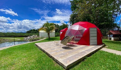 Basic Bungalow