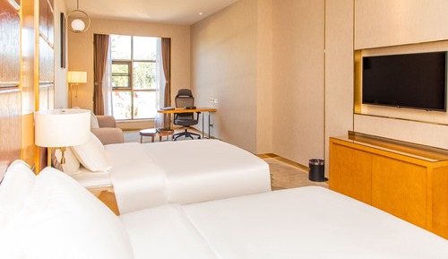 Business Twin Room
