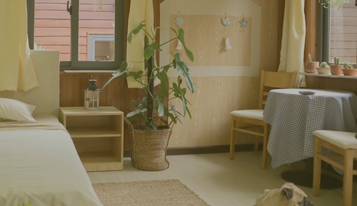 Morning Peace Room