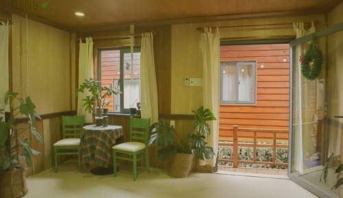 Tranquil Green Room