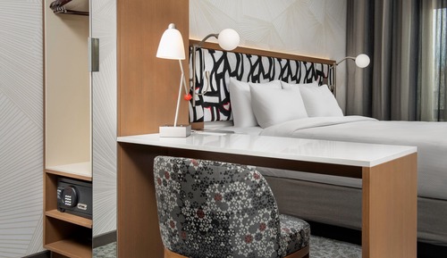 Standard Suite, 1 King Bed (Mobility Accessible, Roll-In Shower)
