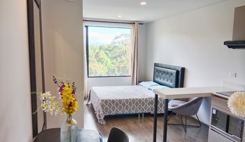 Comfort Apartment