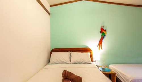 Basic Triple Room