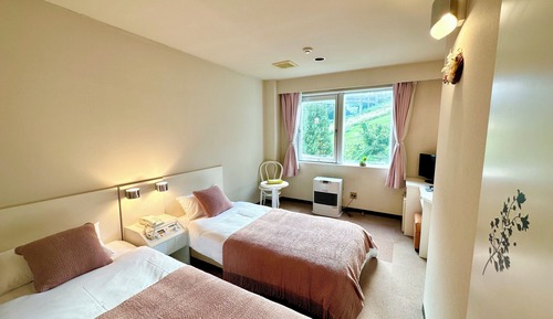 Basic Double or Twin Room