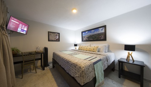 Signature Suite