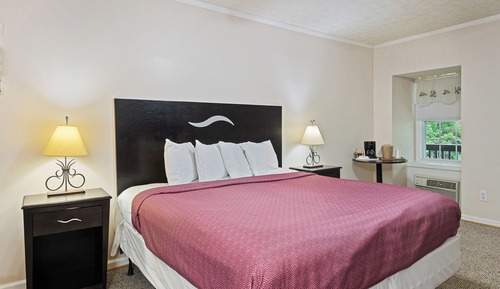 Basic Room, 1 King Bed