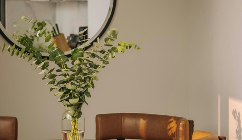 Superior Studio, 1 King Bed, Terrace