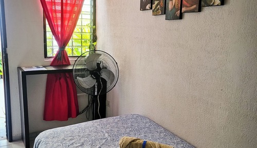 Basic Single Room