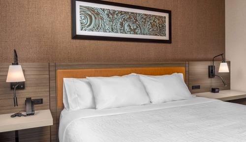 Room, 1 King Bed, Accessible (Mobility/ Hearing W/ 3x3 Shower)