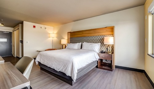 Standard Room, 1 King Bed, Roll-in Shower (Mobility Accessible)
