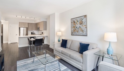 Luxury Apartment, 1 Queen Bed with Sofa bed