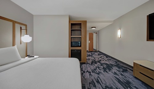 Suite, 1 King Bed with Sofa bed (Mobility Accessible, Roll-in Shower)