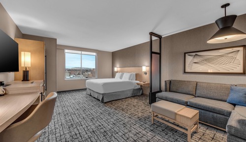 Room, 1 King Bed with Sofa bed, Accessible, Bathtub