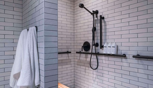 Room, 1 King Bed (Shower)