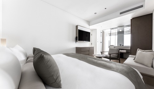 Standard Double Room, No view, Non Smoking (with Lounge Access)
