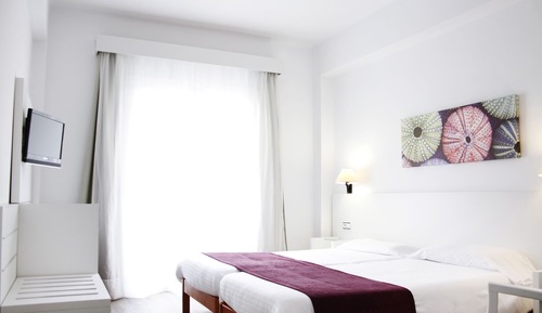 Superior Double Room (Occupancy 3)