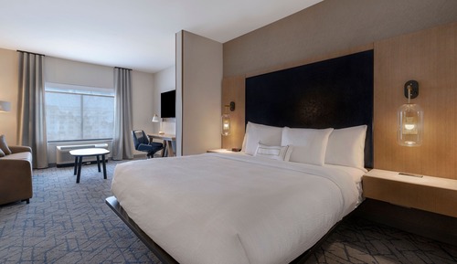 Suite, 1 King Bed with Sofa bed
