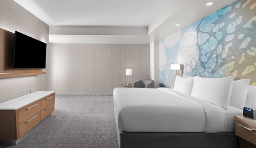 Suite, 1 Bedroom