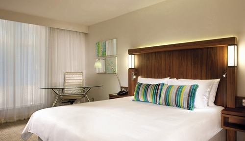 Room, 1 King Bed