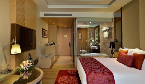 Business Room (Business Class)