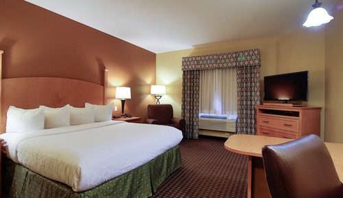 Superior Room, 1 King Bed, Non Smoking