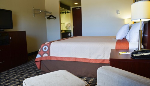 Room, 1 King Bed, Non Smoking