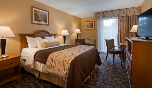 Standard Room, 1 Queen Bed, Non Smoking, Jetted Tub