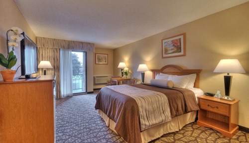 Standard Room, 1 King Bed, Non Smoking, Jetted Tub