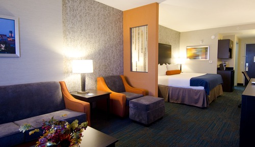 Suite, 1 King Bed with Sofa bed