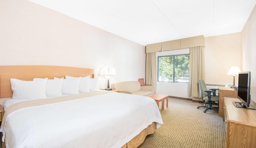 Room, 1 King Bed, Non Smoking, Lake View