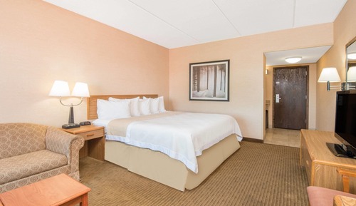 Room, 1 King Bed, Non Smoking