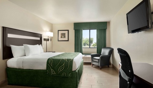 Room, 1 Queen Bed, Non Smoking